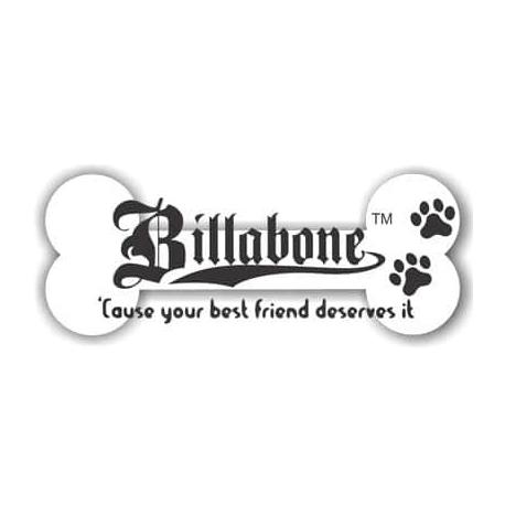 Billabone